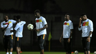 Camer&uacute;n-Nigeria, duelo de reyes en los octavos de la Copa de &Aacute;frica