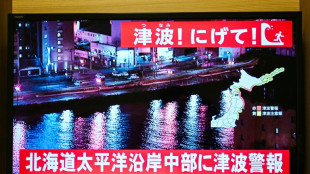 Jap&oacute;n emite una alerta de tsunami despu&eacute;s de un potente terremoto