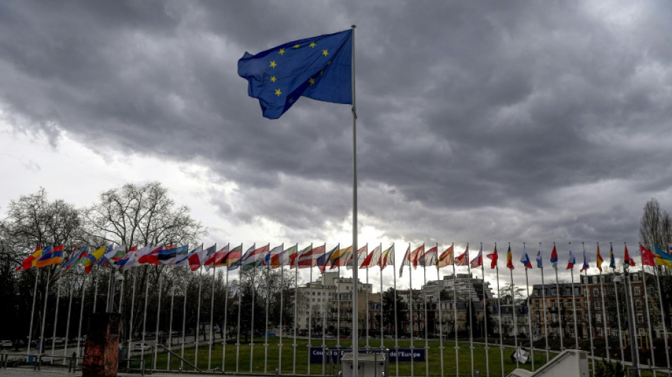 Council of Europe cautions on weapon sales to Israel