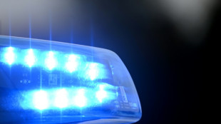 Lasterfahrer setzt auf Rastplatz in Baden-W&uuml;rttemberg Kanarienvogel "zum L&uuml;ften" aus
