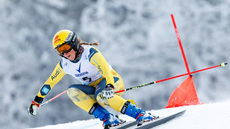 Skicross: Hronek siegt trotz Sturz - Maier patzt