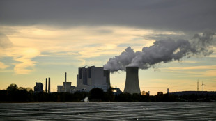 German business morale falls as war puts recovery on ice: survey