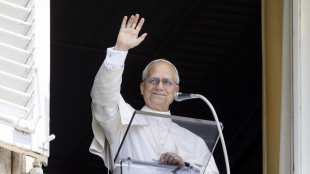 Il Papa è arrivato a Castel Gandolfo