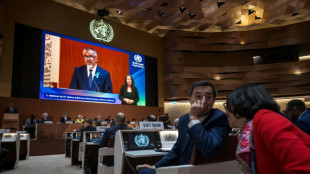 La OMS añade la nueva generación de fármacos contra la obesidad a su lista de medicamentos esenciales