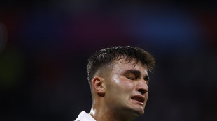 Sei Nazioni: definita l'Italia per l'Irlanda, Pani estremo