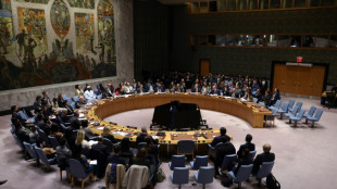 Vote &agrave; l'ONU: Isra&euml;l salue le plan Trump pour Gaza, le Hamas s'oppose &agrave; une force internationale