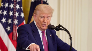 Trump, 'aperto all'idea di Putin mediatore, è pronto'