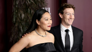 Zuckerbergs put AI at heart of pledge to cure diseases