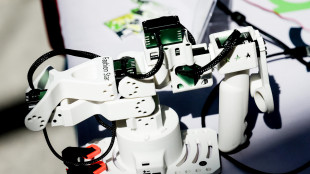 Raggi laser guidati da ologrammi per una stampa 3D super-precisa