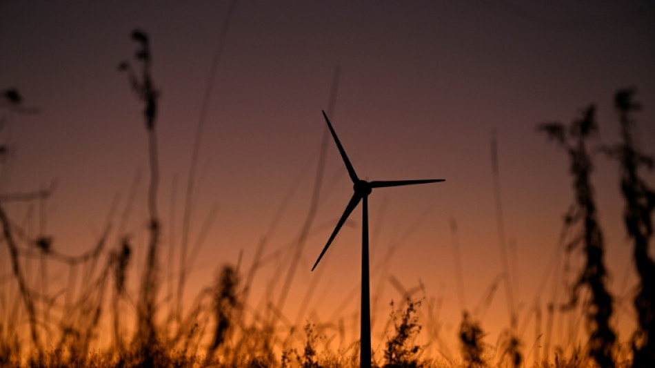 Arbeitskorb st&uuml;rzt ab: Zwei Tote bei Arbeitsunfall an Windrad in Hessen