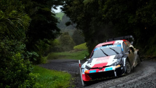 Rallye: Rovanperä nach Geburstags-Gala vor WM-Titel