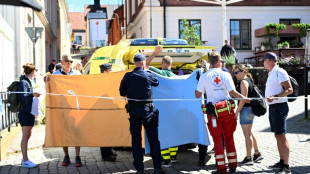 El asesinato en un evento político en Suecia iba dirigido contra la psiquiatría