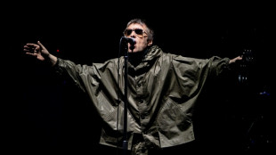 Phil Collins, Iron Maiden y Oasis, entre los nuevos miembros del Sal&oacute;n de la Fama del Rock
