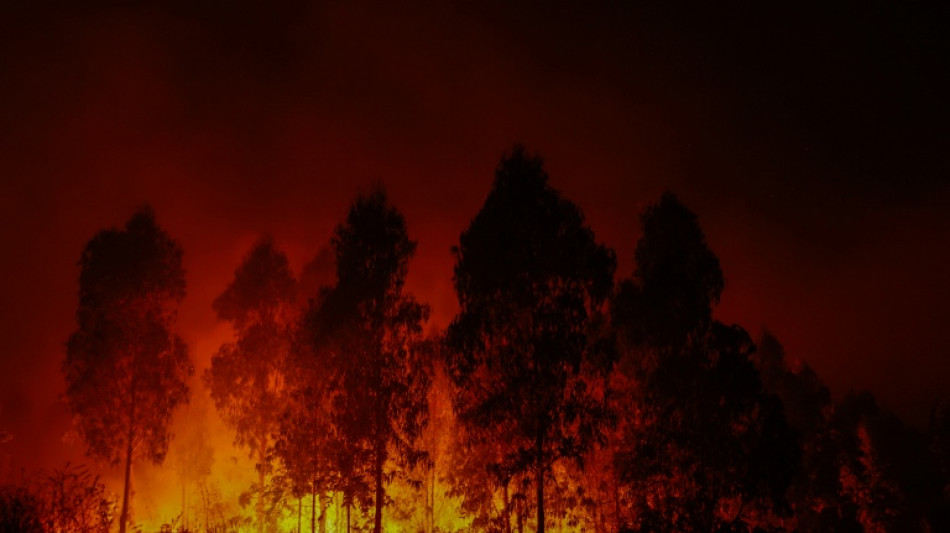 Detienen a un sospechoso de iniciar un fuego intencionalmente en la zona de incendios en Chile