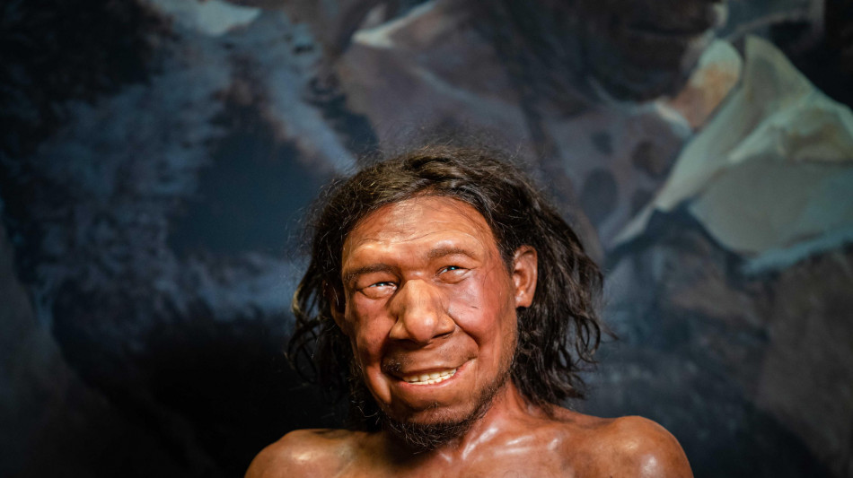 I Neanderthal curavano le carie con trapani di pietra