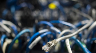 Schlag gegen Botnetze: Zwei der weltgr&ouml;&szlig;ten IT-Schadprogramme abgeschaltet