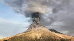 Un volcán de Indonesia hace erupción y lanza una enorme columna de ceniza