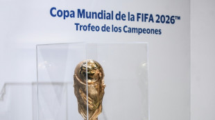 ONU alerta sobre aumento de apostas ilegais durante Copa do Mundo de 2026