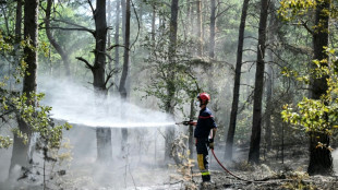 Incendie de Fontainebleau: 2.200 hectares br&ucirc;l&eacute;s et des pompiers qui restent "tr&egrave;s vigilants"