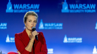 La Corte Suprema rusa declara "terrorista" a la organizaci&oacute;n anticorrupci&oacute;n de Navalni