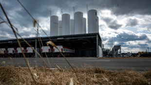 Fossil fuel pledges divide G7 in 'critical decade' for climate