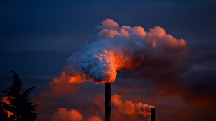 Emissioni da attivit&agrave; economiche Ue gi&ugrave; del 20% in undici anni