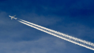 Setor a&eacute;reo da UE pede 'revis&atilde;o imediata' do novo sistema de controle de fronteiras