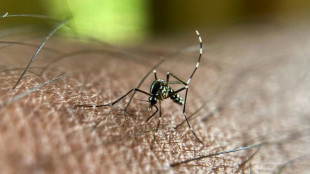 Le chikungunya circule à un niveau jamais vu en métropole aussi tôt dans l'année