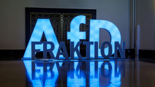 Merz veut redonner confiance à l'est, 35 ans après la réunification allemande 