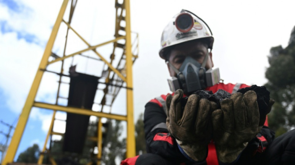 Exportación de carbón en Colombia se desploma mientras Petro prohíbe vender a Israel