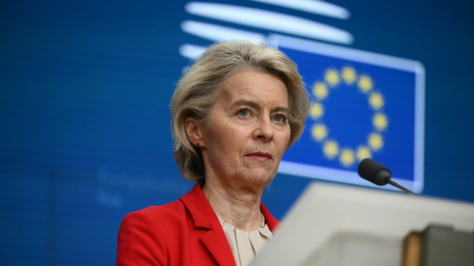 Mercosur-Abkommen: Noch keine Entscheidung &uuml;ber vorl&auml;ufige Anwendung