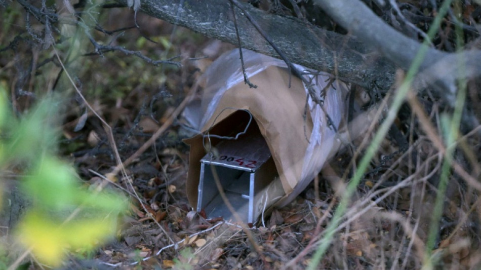 Capture de rongeurs en Terre de Feu pour trouver un &eacute;ventuel porteur d'hantavirus 