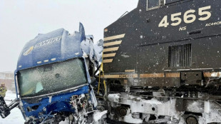 Une temp&ecirc;te de neige perturbe les transports dans le sud des &Eacute;tats-Unis, la vague de froid s'&eacute;tend
