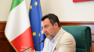 Salvini, referendum non passeranno, cittadinanza non è un regalo