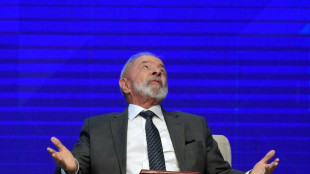 BRICS expresarán en su cumbre de Rio "seria preocupación" por aranceles "unilaterales"