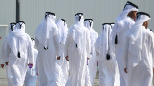 Catar vota de maneira esmagadora para acabar com elei&ccedil;&atilde;o legislativa