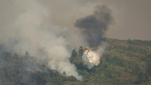 La UE trabaja "sin descanso" para ayudar a los países afectados por los incendios
