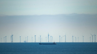 Bundesregierung verschiebt Ausschreibung f&uuml;r neue Offshore-Anlagen