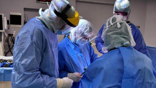 Lotta al tumore al polmone, nuova speranza da una molecola ibrida