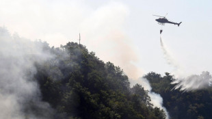 Albania, emergenza incendi, almeno un morto