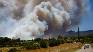 Espagne: l'incendie pr&egrave;s de la Costa Brava bient&ocirc;t stabilis&eacute;, 2.300 hectares br&ucirc;l&eacute;s