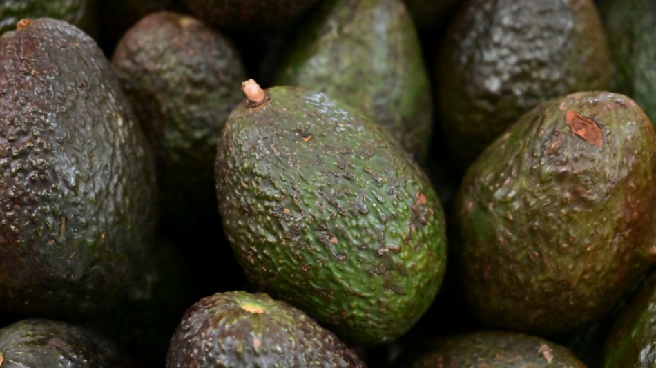 EEUU abre la puerta de nuevo a los aguacates de México