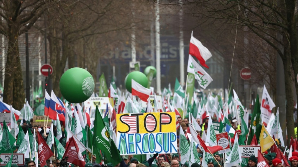 Parlamento Europeo celebra primera votaci&oacute;n sobre el Mercosur, tensionado por l&oacute;gicas nacionales