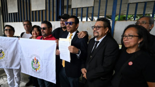 Piden declarar inconstitucional la reelección indefinida en El Salvador