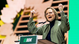 Brantner auf Gr&uuml;nen-Parteitag: Jung und Alt nicht gegeneinander ausspielen