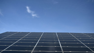 Energie: essor rapide des renouvelables, la demande de p&eacute;trole se stabilise "vers 2030", selon l'AIE