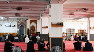 Francia investiga la aparición de 9 cabezas de cerdos frente a mezquitas