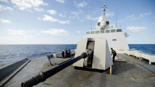 Contre les drones, la marine répond brouillage et "mur d'acier"