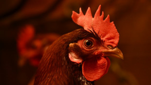 La inflación se modera al 2,3% anual en abril en EEUU