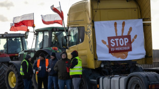 Abschluss bei Mercosur-Abkommen scheint zum Greifen nahe